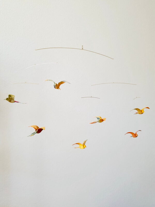 Tropics - Image 2