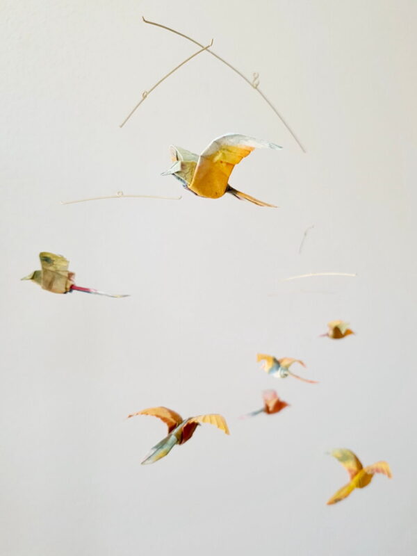 Tropics - Image 6