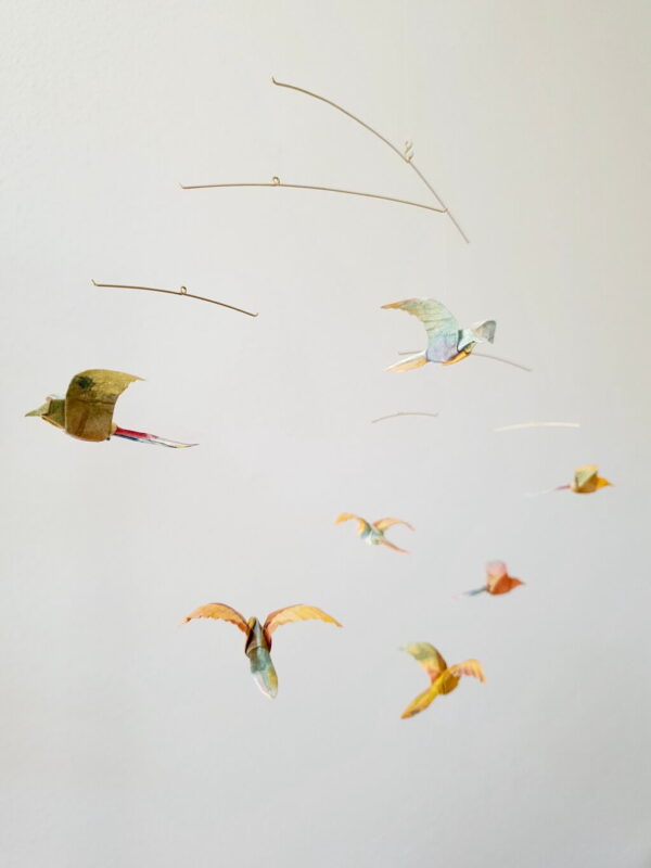 Tropics - Image 4