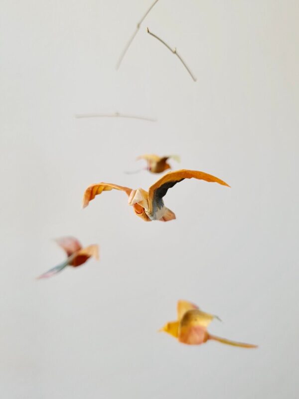 Tropics - Image 3