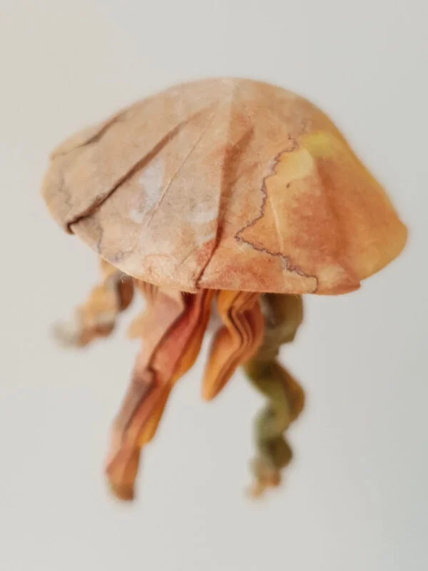A origami jellyfish showing color details