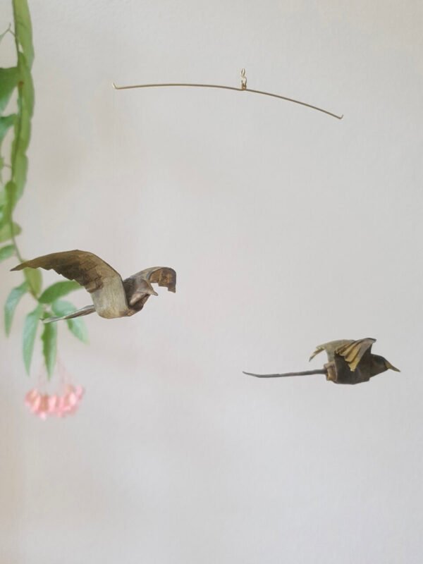 Birds from the Swamp