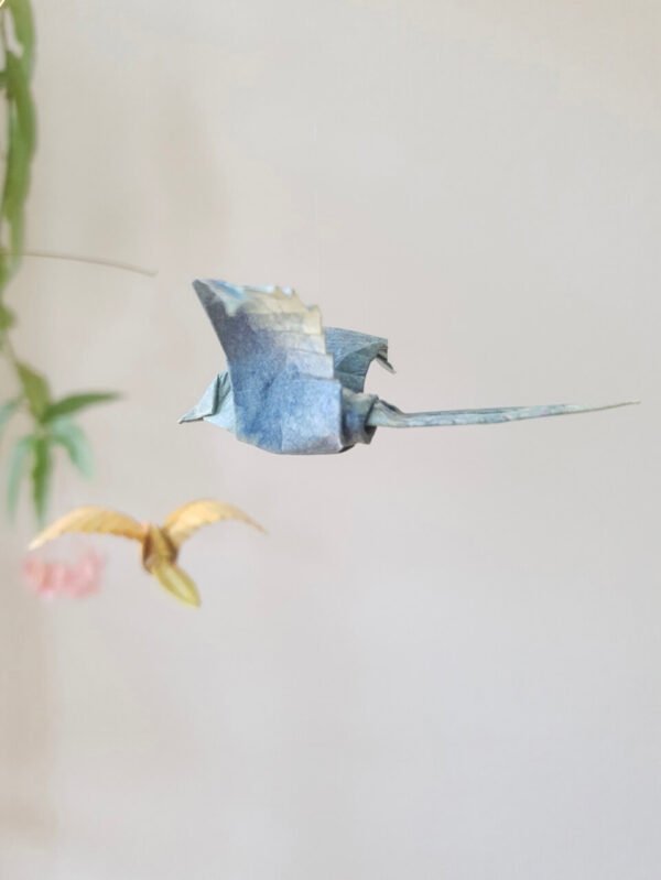 May - Image 3