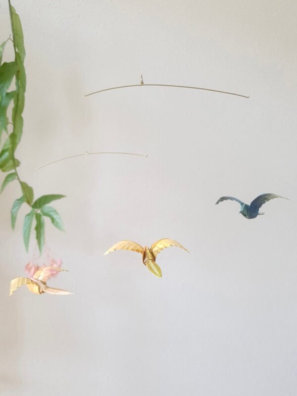 May - Image 2