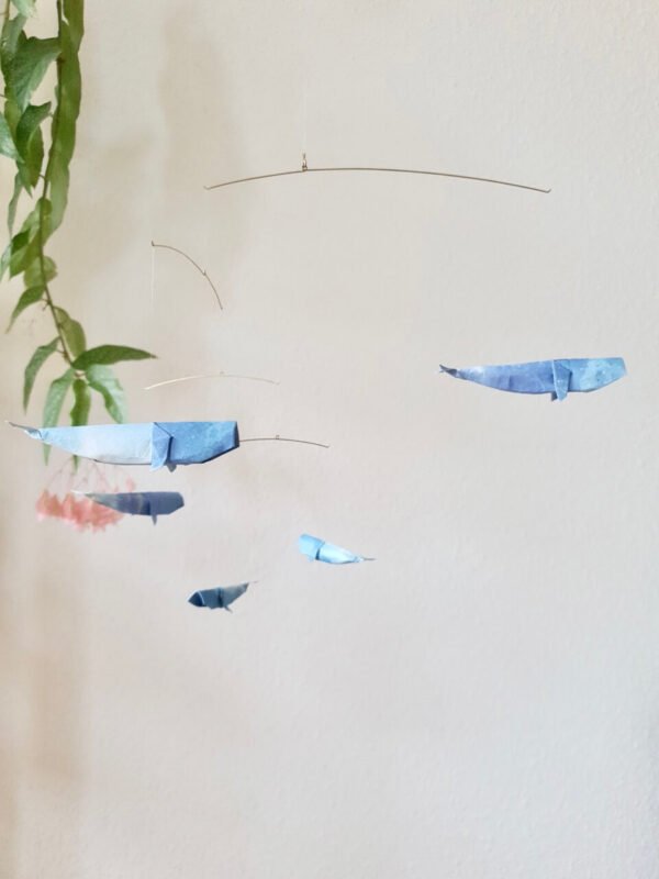 Spotted Silvertails - Image 2